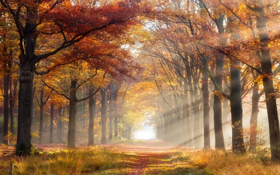 Turn Your Bucket List Dream into Your Next Career!